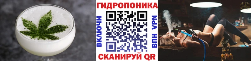 мега маркетплейс  Людиново  Печенье с ТГК марихуана  мориарти наркотические препараты  дарнет шоп 