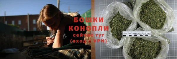 крисы Лагань