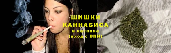 крисы Лагань