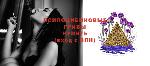 ГАЛЛЮЦИНОГЕННЫЕ ГРИБЫ Ветлуга