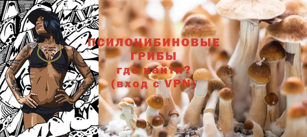 крисы Лагань
