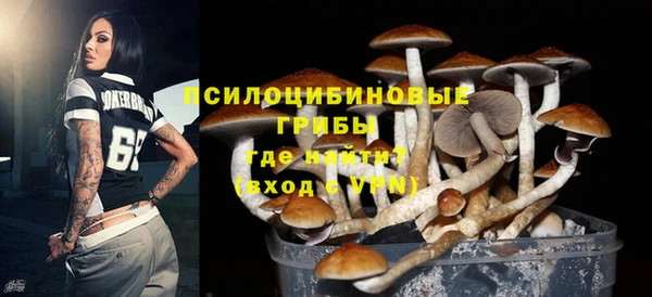 ГАЛЛЮЦИНОГЕННЫЕ ГРИБЫ Ветлуга